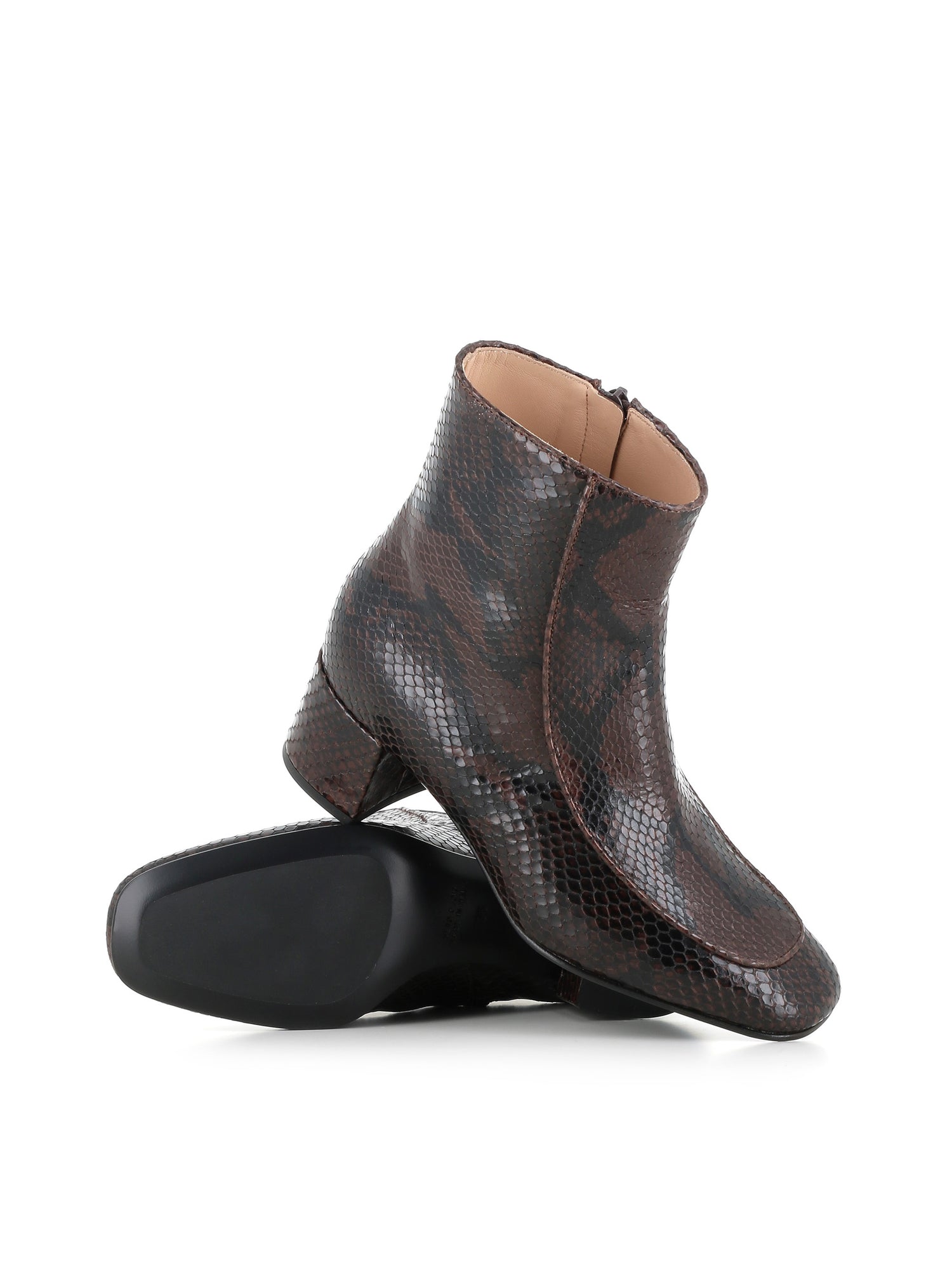  Ankle Boot Wanda Pi Tassinari Special_ Marrone - 2