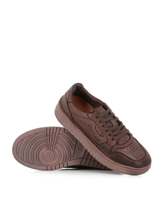 Lemargo Sneaker Marrone Donna