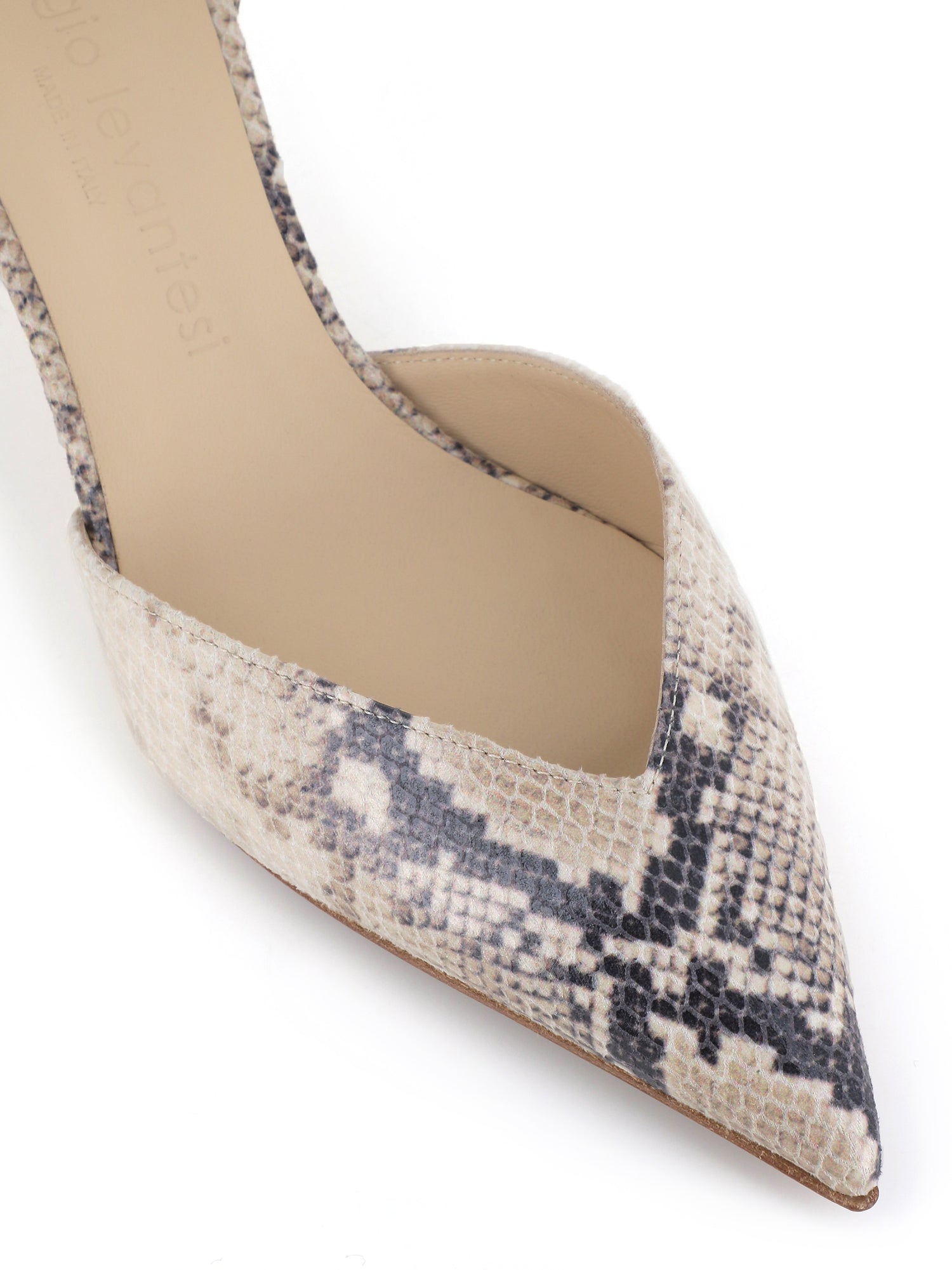  Décolletè Camelia 6 Aspis Sergio Levantesi Special_ Pattern - 5